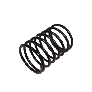 Mud Pump Valve Spring